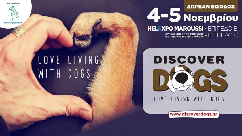 Discover Dogs Festival