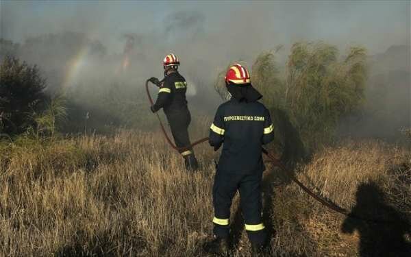 Αμαλιάδα: Σε ύφεση η φωτιά στη Δαφνιώτισσα, υπό έλεγχο στην Ανάληψη
