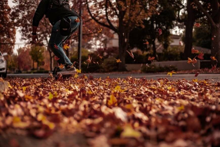 Η κλιματική αλλαγή «ρίχνει» τα φύλλα του φθινοπώρου νωρίτερα – Τι σημαίνει αυτό για το περιβάλλον